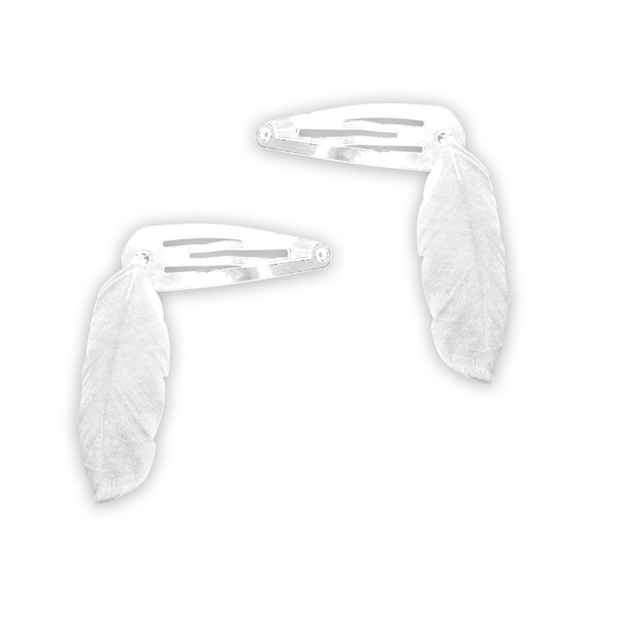 Barrettes Definition Synonym at Lynn More blog